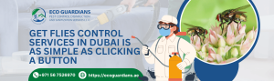 Read more about the article Get Flies Control Services in Dubai is as Simple as Clicking a Button