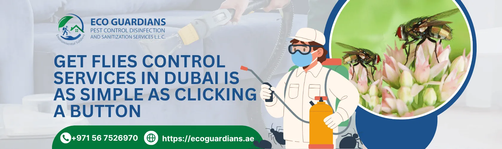 Flies Control Near You in Dubai