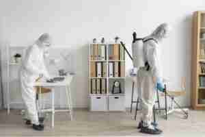 Read more about the article Is Pest Control Mandatory in Dubai?