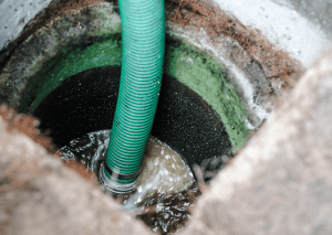 Gardening Consultancy Dubai