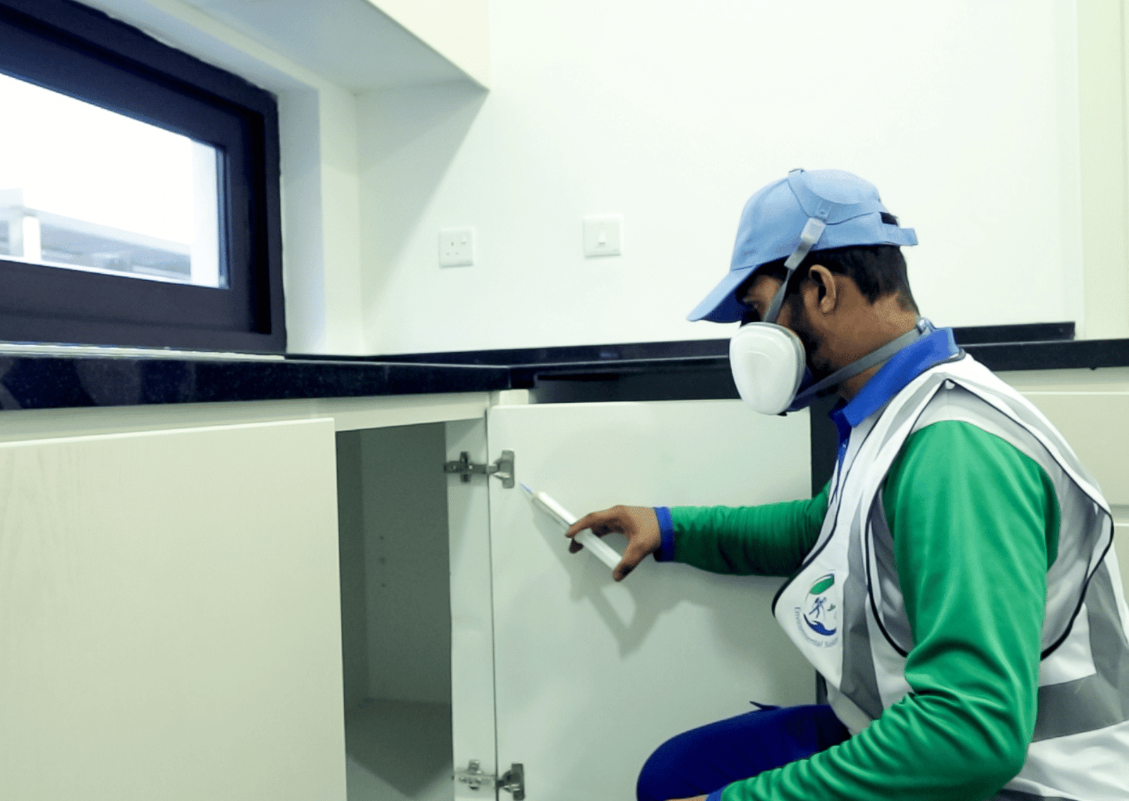 Ant Pest Control Dubai