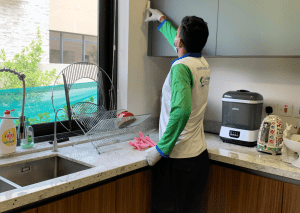 Read more about the article Get Rid of Pests with Our Pest Control Services