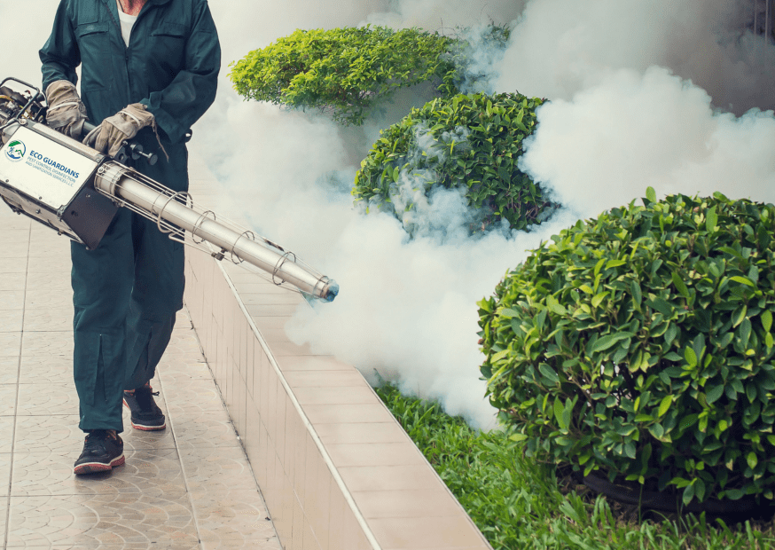 Fogging Services Dubai