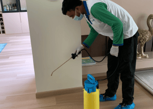 Read more about the article Say Goodbye to Pests by Acquiring Professional Pest Control Services