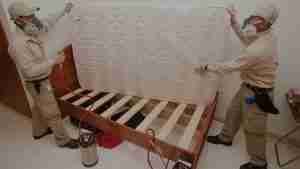 Read more about the article How to Avoid Bed Bug Infestations in Your Home