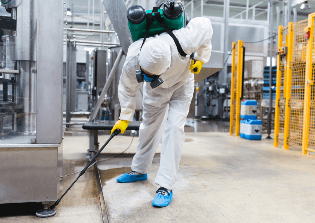 Best Cockroach Pest Control Dubai