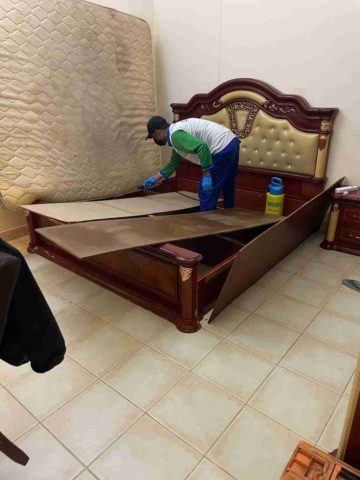 Bed Bug Pest Control Dubai