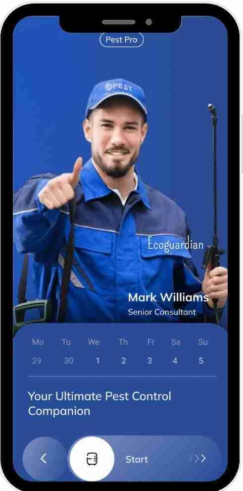 Pest Control services in Dubai