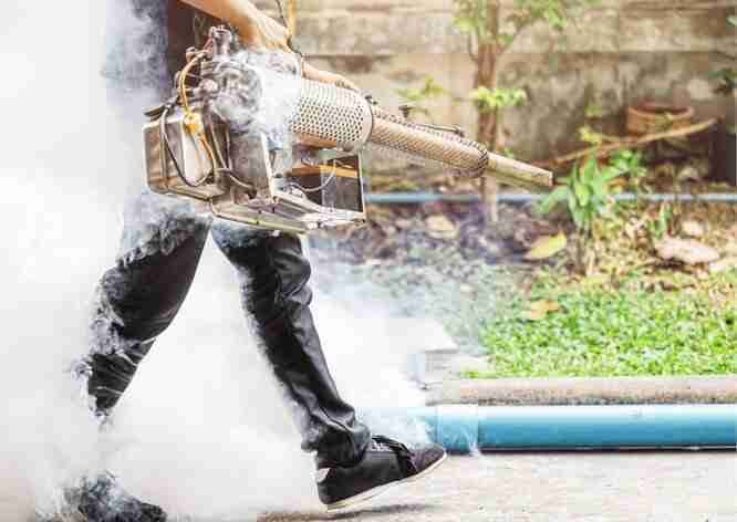 Mosquito Control Dubai