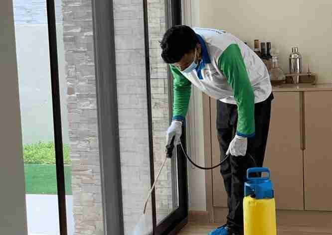 Pest Control services in Dubai