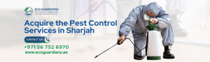Read more about the article Acquire the Pest Control Services in Sharjah