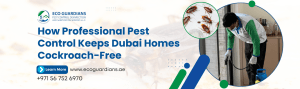 Read more about the article How Professional Pest Control Keeps Dubai Homes Cockroach-Free