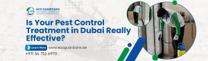 Read more about the article Is Your Pest Control Treatment in Dubai Really Effective?