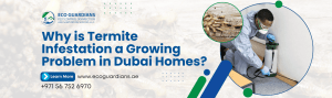 Read more about the article Why Is Termite Infestation a Growing Problem in Dubai Homes?