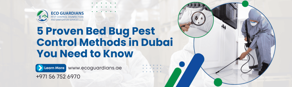 Bed Bug Pest Control Near You