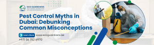 Read more about the article Pest Control Myths in Dubai: Debunking Common Misconceptions