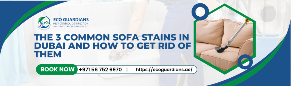 Sofa Cleaning Company Dubai