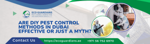 Read more about the article Are DIY Pest Control Methods in Dubai Effective or Just a Myth?