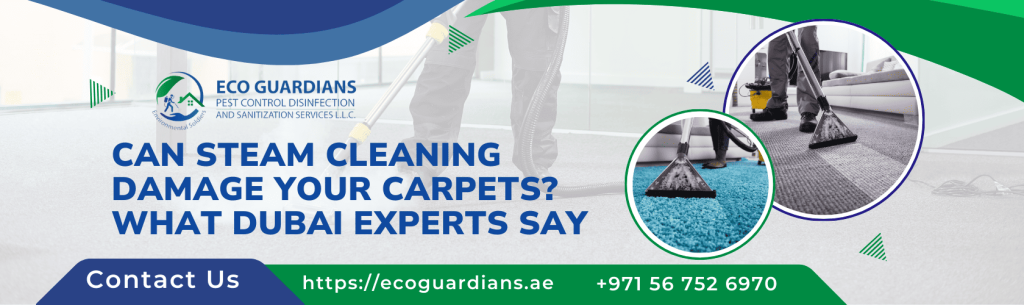 Carpet Cleaning Dubai