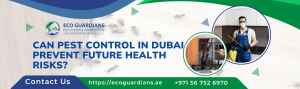 Read more about the article Can Pest Control in Dubai Prevent Future Health Risks?