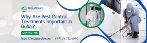 Read more about the article Why Are Pest Control Treatments Important in Dubai?
