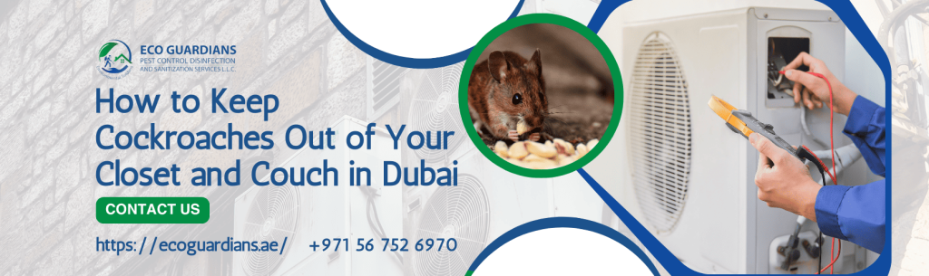 Cockroach Pest Control for Sofa Cleaning