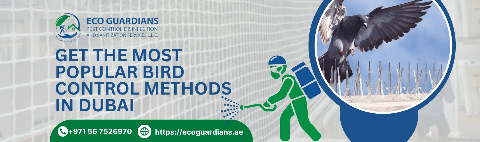Bird Control Near You in Dubai