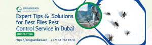 Read more about the article Expert Tips & Solutions for Best Flies Pest Control Service in Dubai