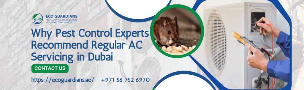 Pest Control for AC Services