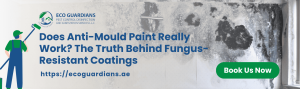 Read more about the article Does Anti-Mould Paint Really Work? The Truth Behind Fungus-Resistant Coatings
