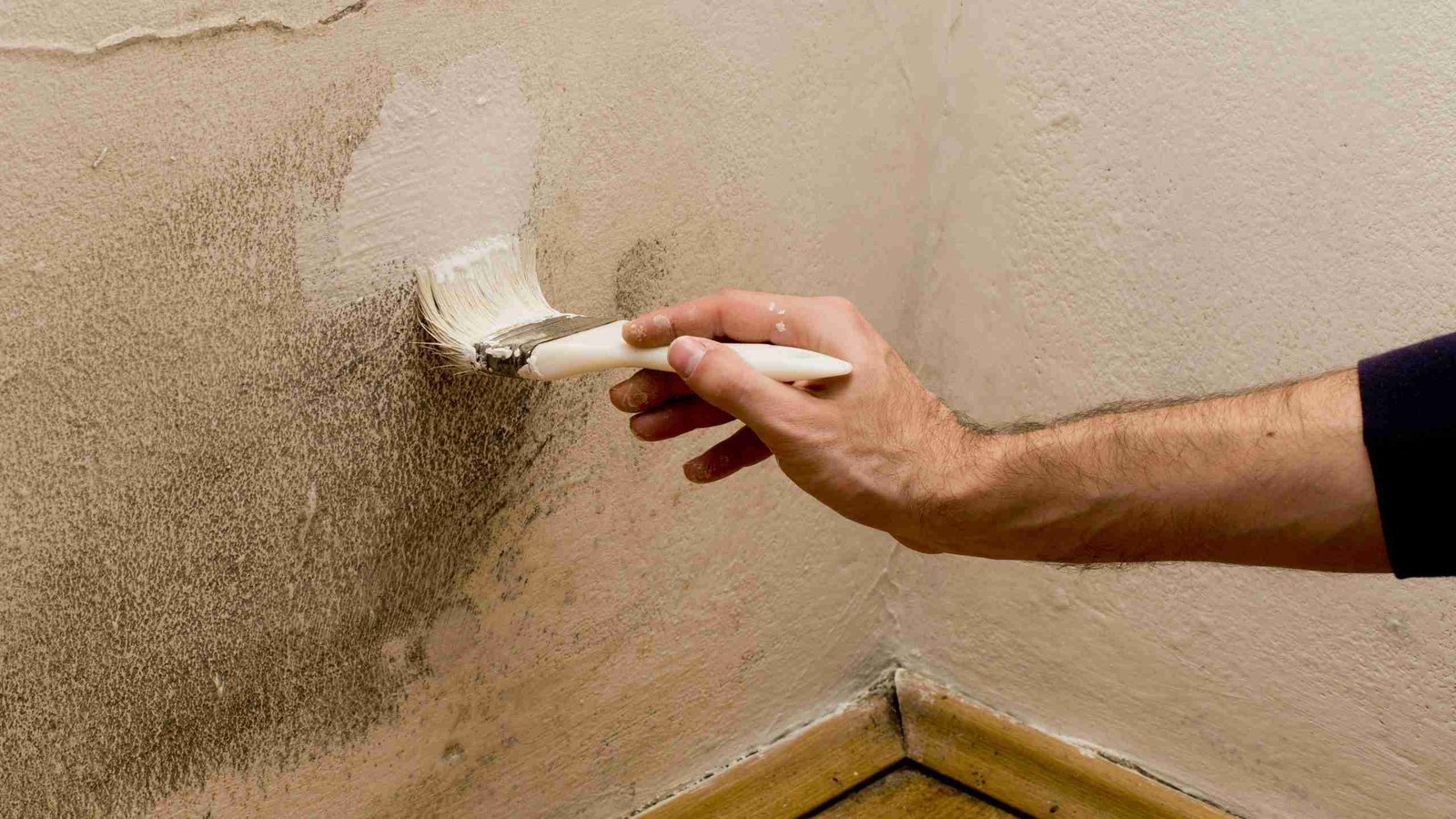 Anti-Mould Paint Treatment