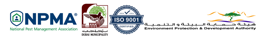 Eco Guardians's Certifications Certificates