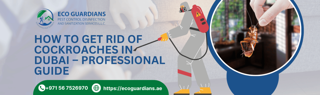 Cockroach Pest Control Near You in Dubai