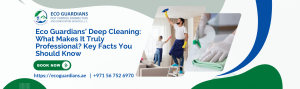 Read more about the article Eco Guardians’ Deep Cleaning: What Makes It Truly Professional? Key Facts You Should Know