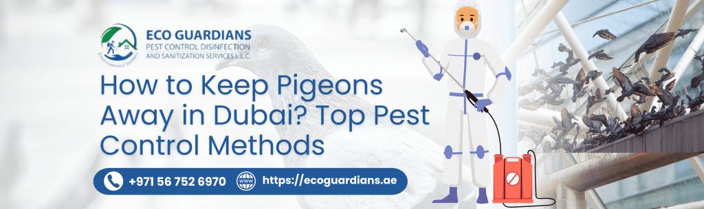 Birds Control Near You in Dubai