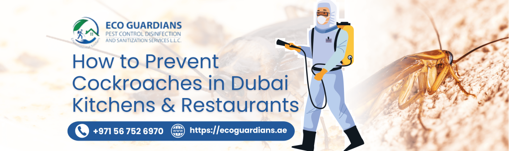 Cockroach Pest Control Near You in Dubai