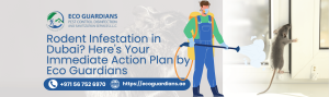 Read more about the article Rodent Infestation in Dubai? Here’s Your Immediate Action Plan by Eco Guardians