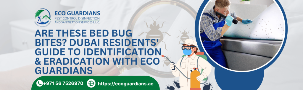 Bed Bugs Control Near You in Dubai